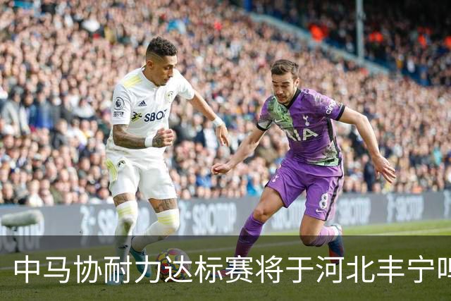 中马协耐力达标赛将于河北丰宁鸣枪 数十家专业马术俱乐部角逐