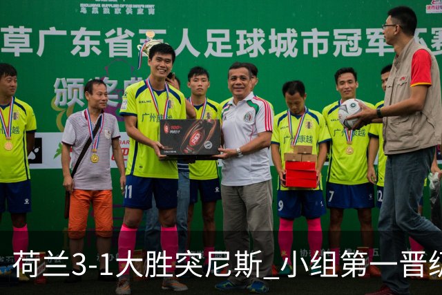 荷兰3-1大胜突尼斯 小组第一晋级淘汰赛将战摩洛哥