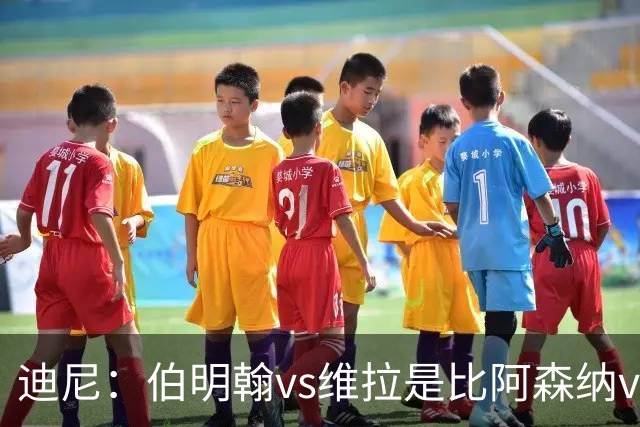 迪尼：伯明翰vs维拉是比阿森纳vs热刺更大的德比
